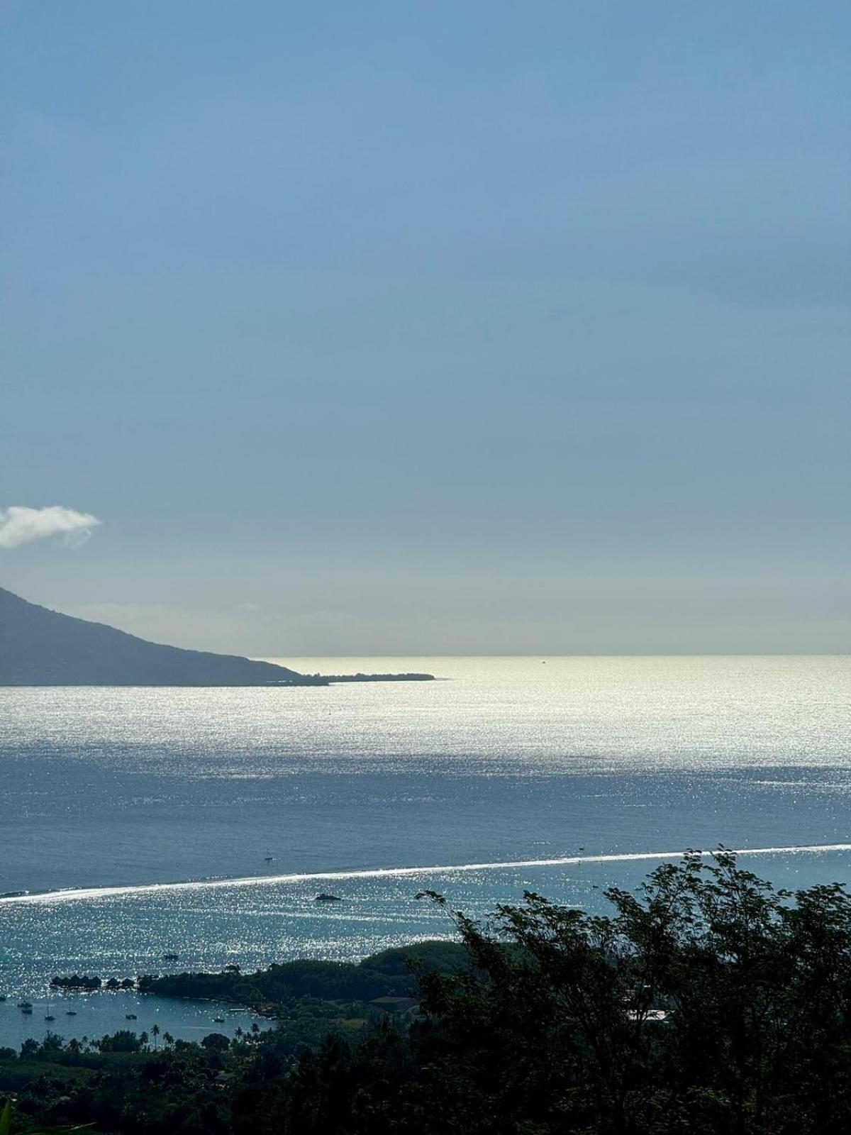 Logement Cosy Avec Piscine Et Vue Tahiti Punaauia Extérieur photo